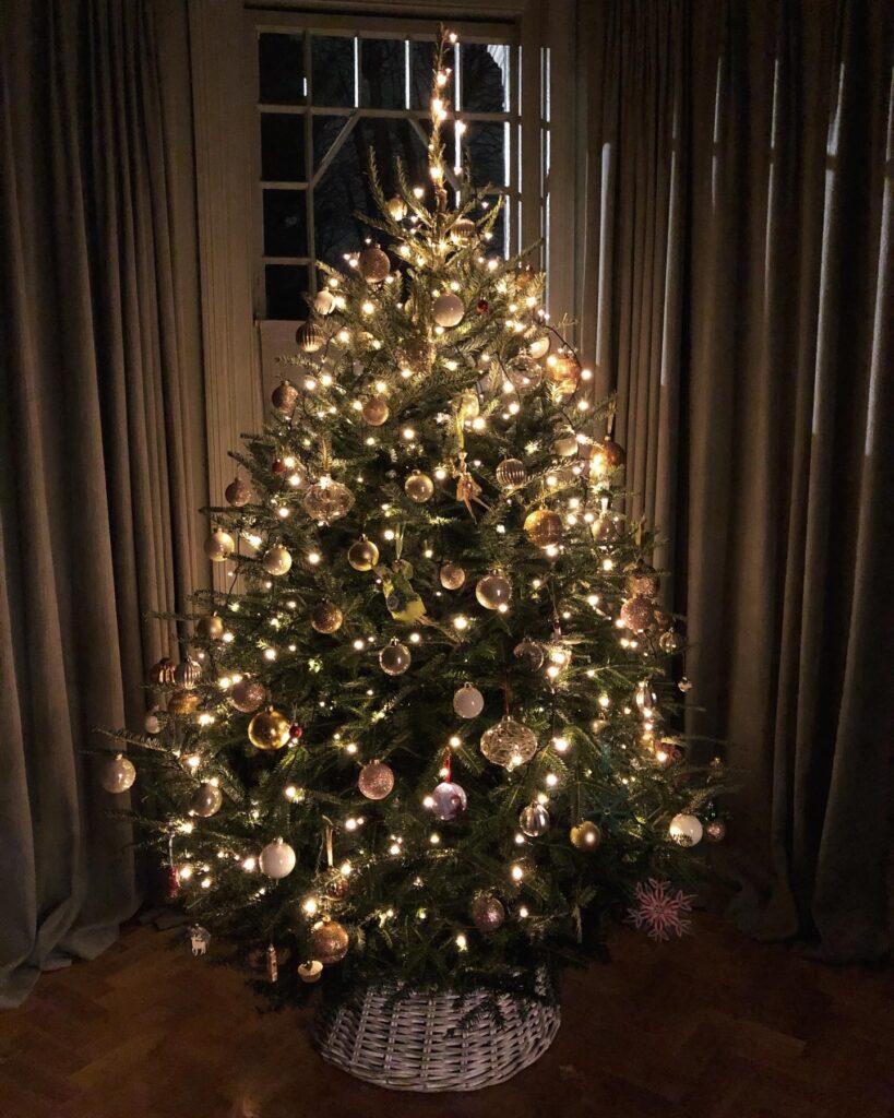 Your Trees Finalists 2020 Scottish Christmas Trees