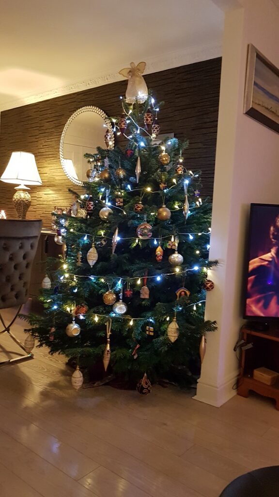 Your Trees Finalists 2020 Scottish Christmas Trees